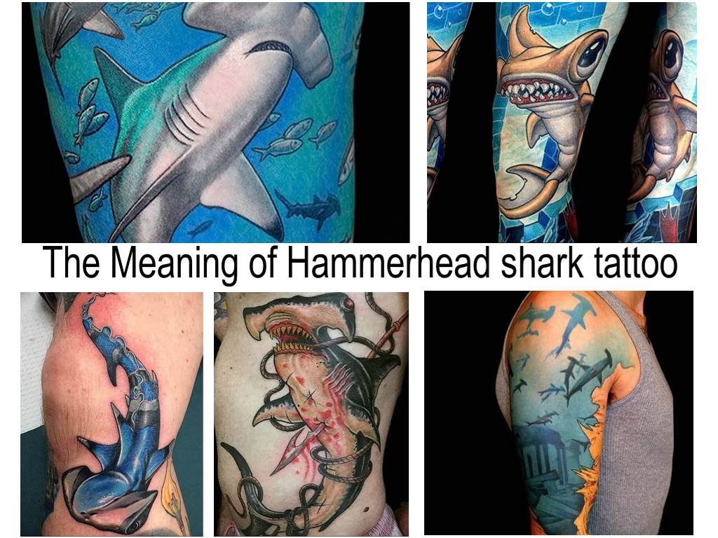 The Meaning of Hammerhead shark tattoo - collection of ready tattoo drawings on the photo - article about the interpretation of the picture