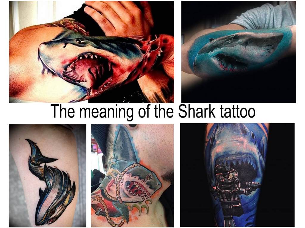 The meaning of the Shark tattoo - original collection of ready-made tattoos on the photo