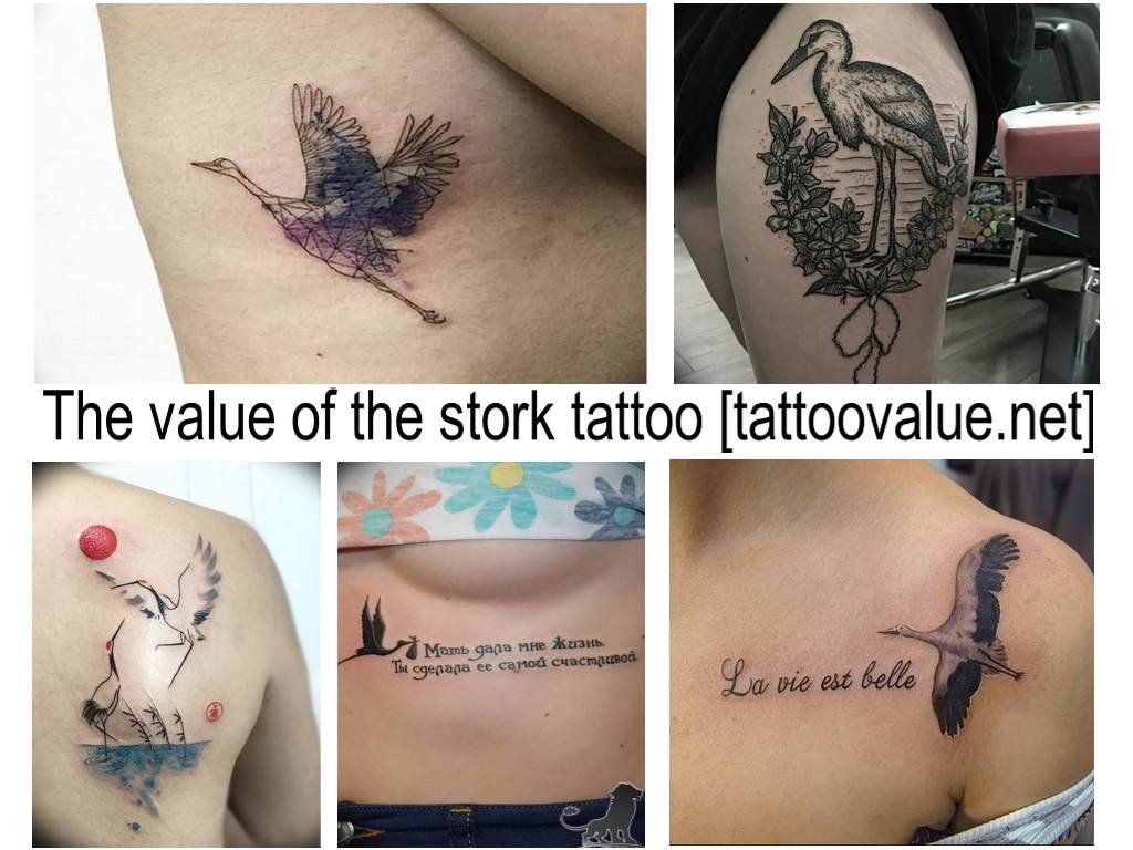 The value of the stork tattoo - original versions of ready-made tattoo drawings on the photo