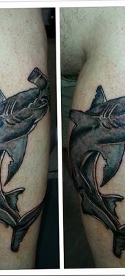 photo hammerhead s от 26.09.2018 №045 – drawing of the predator of the seas – tattoovalue.net