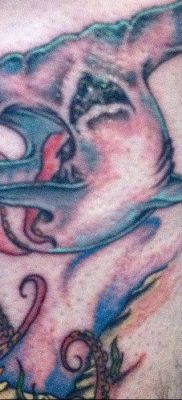 photo hammerhead s от 26.09.2018 №059 – drawing of the predator of the seas – tattoovalue.net