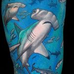 photo hammerhead s от 26.09.2018 №064 - drawing of the predator of the seas - tattoovalue.net