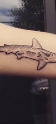 photo hammerhead s от 26.09.2018 №090 – drawing of the predator of the seas – tattoovalue.net