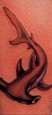 photo hammerhead s от 26.09.2018 №097 – drawing of the predator of the seas – tattoovalue.net