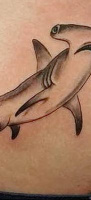 photo hammerhead s от 26.09.2018 №102 – drawing of the predator of the seas – tattoovalue.net