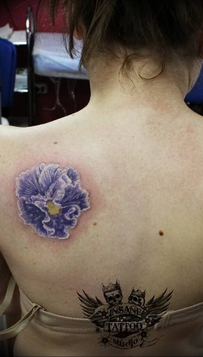 photo tattoo Pansies от 10.09.2018 №028 - example of drawing a tattoo - tattoovalue.net