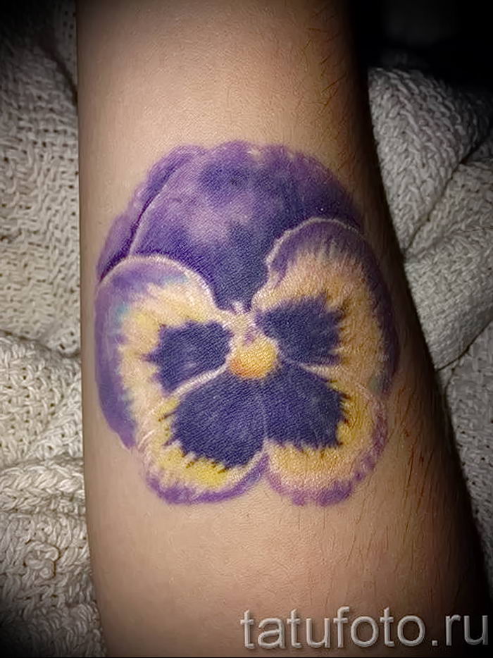 photo tattoo Pansies от 10.09.2018 №056 - example of drawing a tattoo - tattoovalue.net