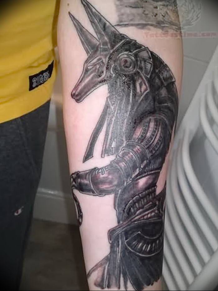 Forearm Realism Anubis tattoo at theYoucom