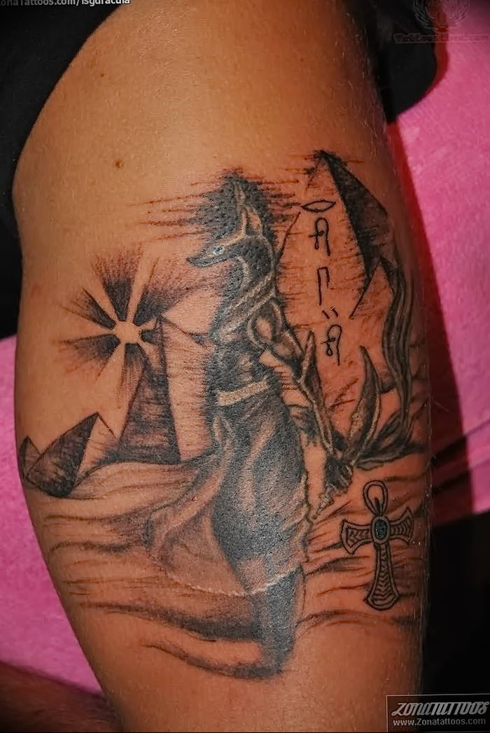 Photo Tattoo Anubis Ot 25 09 18 156 Drawing Egyptian God Figure Tattoovalue Net Tattoovalue Net