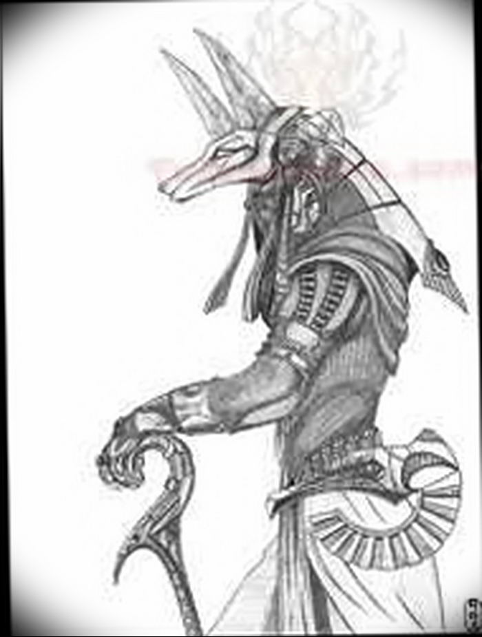 photo tattoo anubis от 25.09.2018 №041 - drawing - egyptian god figure - tattoovalue.net