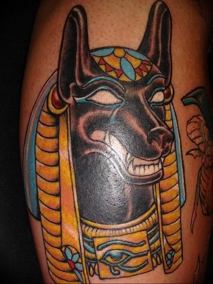 photo tattoo anubis от 25.09.2018 №134 - drawing - egyptian god figure - tattoovalue.net