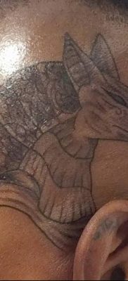 photo tattoo anubis от 25.09.2018 №139 – drawing – egyptian god figure – tattoovalue.net