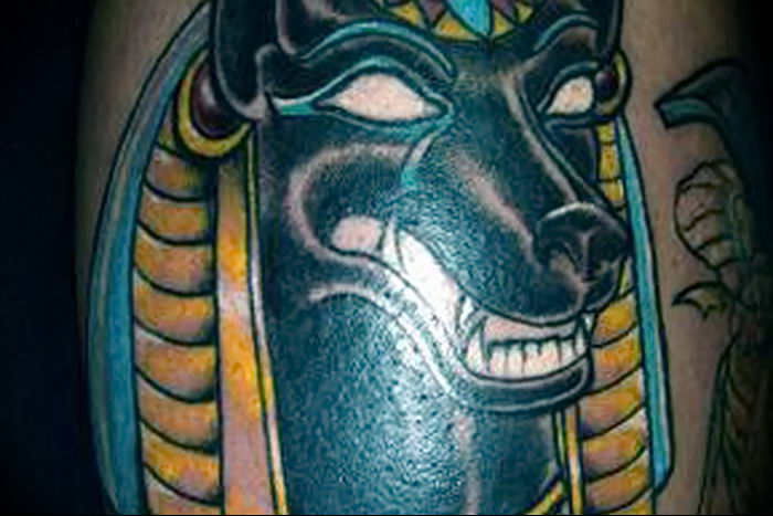 photo tattoo anubis от 25.09.2018 №215 - drawing - egyptian god figure - tattoovalue.net