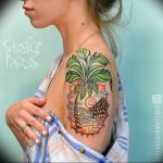 photo tattoo pineapple от 10.09.2018 №135 - example of drawing a tattoo - tattoovalue.net