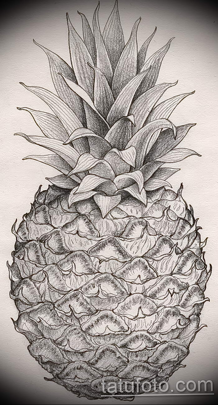 photo tattoo pineapple от 10.09.2018 №175 - example of drawing a tattoo - tattoovalue.net