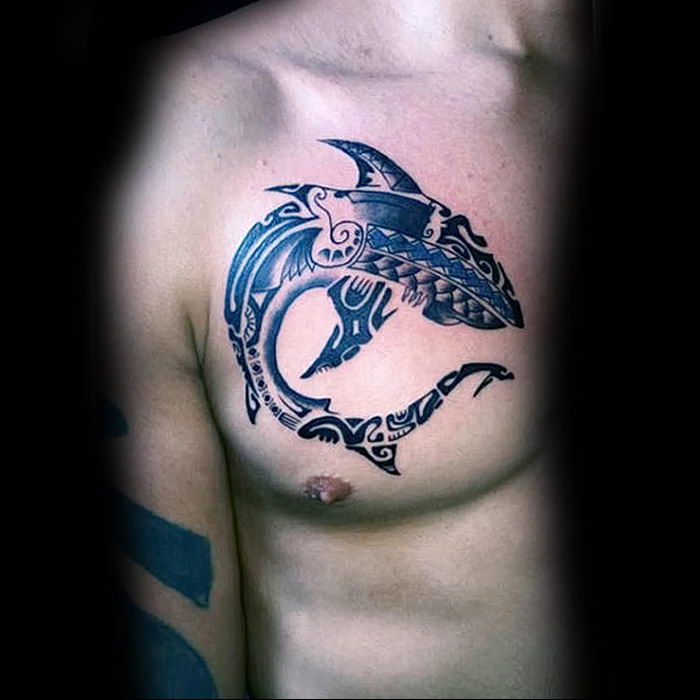 photo tattoo shark от  №044 - drawing of the predator of the seas   
