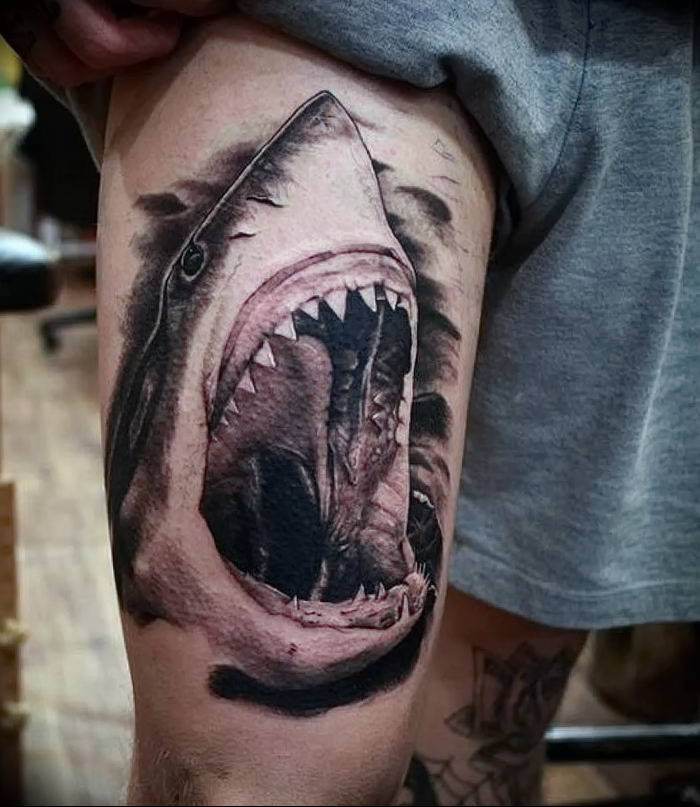 10 Best Tribal Hammerhead Shark Tattoo IdeasCollected By Daily Hind News