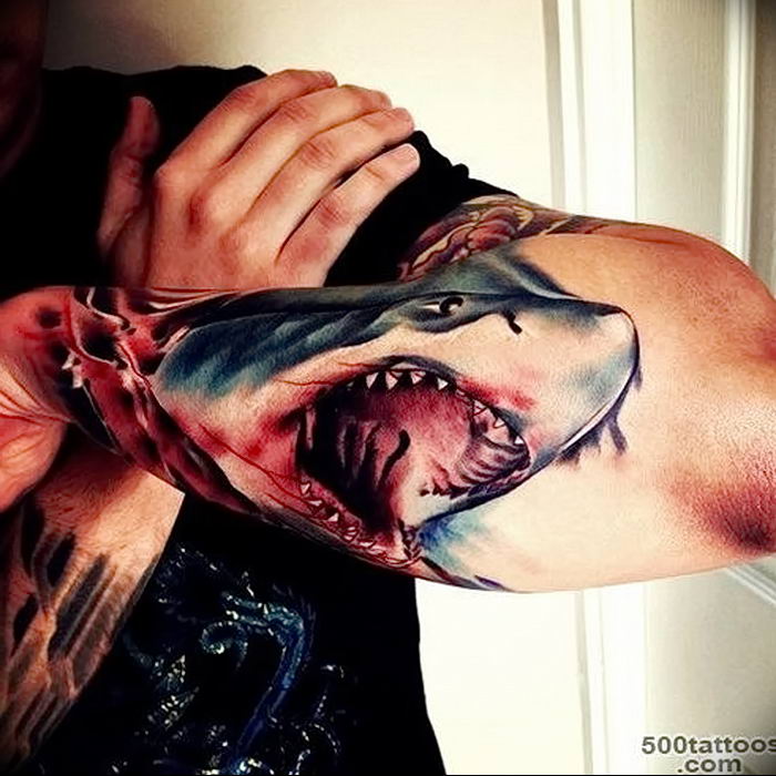 Shark Tattoos  Photos of Works By Pro Tattoo Artists  Shark Tattoos
