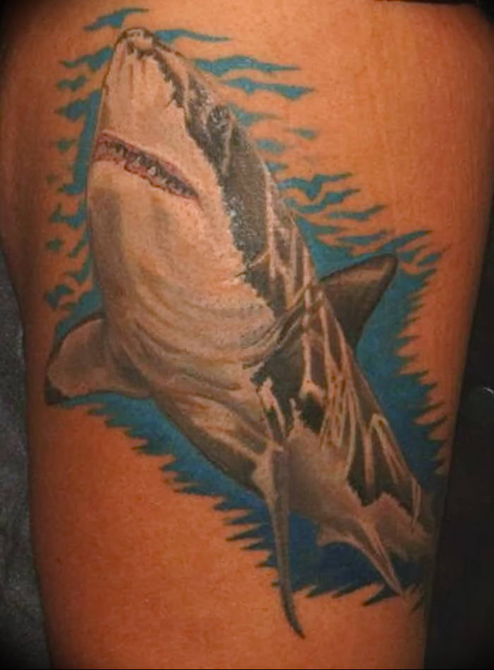 Shark Tattoos  Tattoo Ideas Artists and Models
