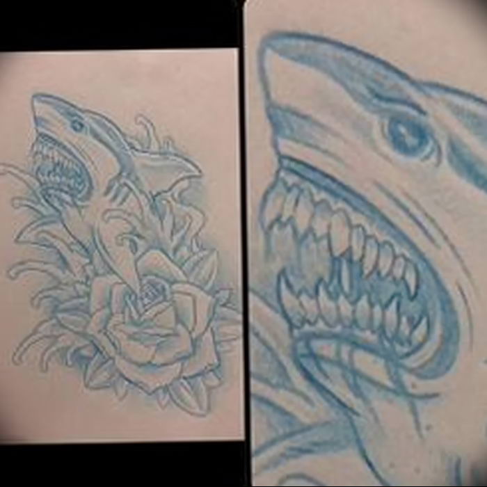 photo tattoo shark от  №347 - drawing of the predator of the seas   