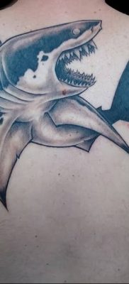 photo tattoo shark от 25.09.2018 №110 – drawing of the predator of the seas – tattoovalue.net
