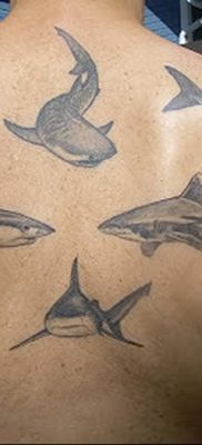 photo tattoo shark от 25.09.2018 №112 – drawing of the predator of the seas – tattoovalue.net