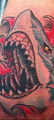 photo tattoo shark от 25.09.2018 №115 – drawing of the predator of the seas – tattoovalue.net