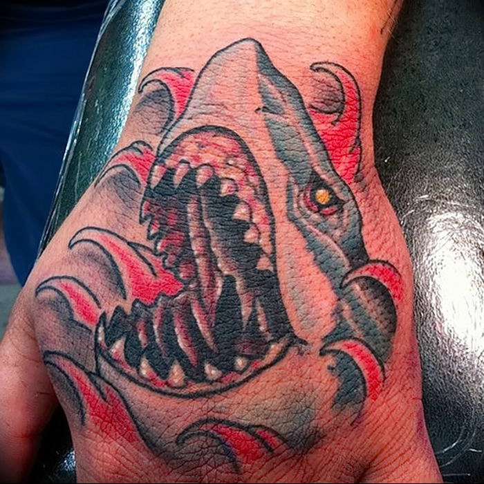 photo tattoo shark от 25.09.2018 №115 - drawing of the predator of the seas - tattoovalue.net
