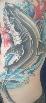 photo tattoo shark от 25.09.2018 №121 – drawing of the predator of the seas – tattoovalue.net
