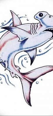 photo tattoo shark от 25.09.2018 №122 – drawing of the predator of the seas – tattoovalue.net