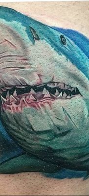 photo tattoo shark от 25.09.2018 №125 – drawing of the predator of the seas – tattoovalue.net
