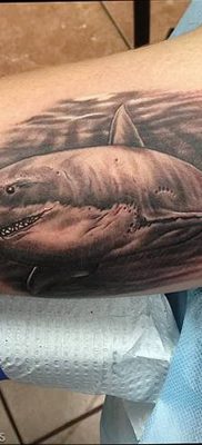 photo tattoo shark от 25.09.2018 №126 – drawing of the predator of the seas – tattoovalue.net