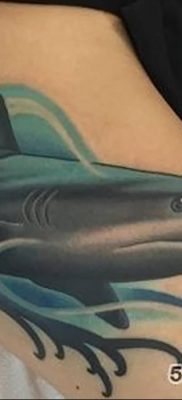 photo tattoo shark от 25.09.2018 №129 – drawing of the predator of the seas – tattoovalue.net