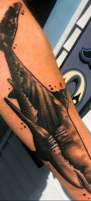 photo tattoo shark от 25.09.2018 №130 – drawing of the predator of the seas – tattoovalue.net