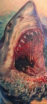 photo tattoo shark от 25.09.2018 №134 – drawing of the predator of the seas – tattoovalue.net