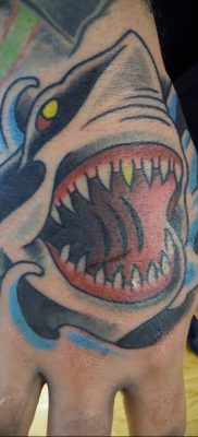 photo tattoo shark от 25.09.2018 №141 – drawing of the predator of the seas – tattoovalue.net