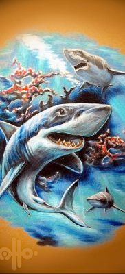 photo tattoo shark от 25.09.2018 №142 – drawing of the predator of the seas – tattoovalue.net
