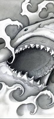 photo tattoo shark от 25.09.2018 №144 – drawing of the predator of the seas – tattoovalue.net