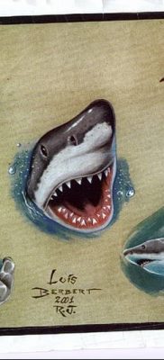 photo tattoo shark от 25.09.2018 №146 – drawing of the predator of the seas – tattoovalue.net