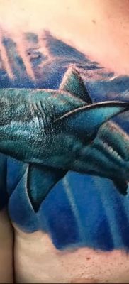 photo tattoo shark от 25.09.2018 №147 – drawing of the predator of the seas – tattoovalue.net