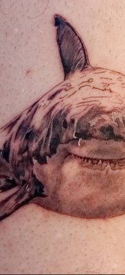 photo tattoo shark от 25.09.2018 №150 – drawing of the predator of the seas – tattoovalue.net