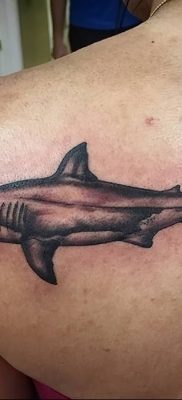 photo tattoo shark от 25.09.2018 №152 – drawing of the predator of the seas – tattoovalue.net
