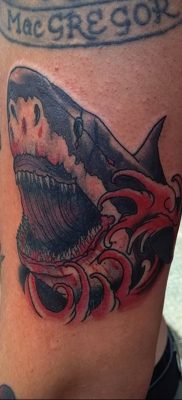 photo tattoo shark от 25.09.2018 №155 – drawing of the predator of the seas – tattoovalue.net