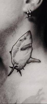 photo tattoo shark от 25.09.2018 №160 – drawing of the predator of the seas – tattoovalue.net