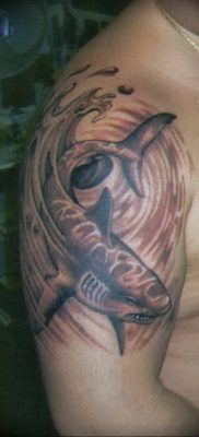 photo tattoo shark от 25.09.2018 №174 – drawing of the predator of the seas – tattoovalue.net