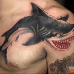 photo tattoo shark от 25.09.2018 №180 - drawing of the predator of the seas - tattoovalue.net