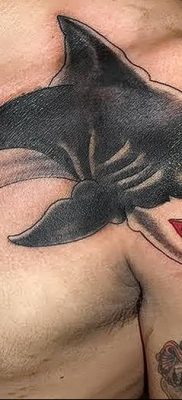 photo tattoo shark от 25.09.2018 №180 – drawing of the predator of the seas – tattoovalue.net
