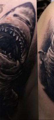 photo tattoo shark от 25.09.2018 №181 – drawing of the predator of the seas – tattoovalue.net
