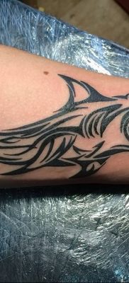 photo tattoo shark от 25.09.2018 №182 – drawing of the predator of the seas – tattoovalue.net