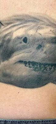 photo tattoo shark от 25.09.2018 №184 – drawing of the predator of the seas – tattoovalue.net